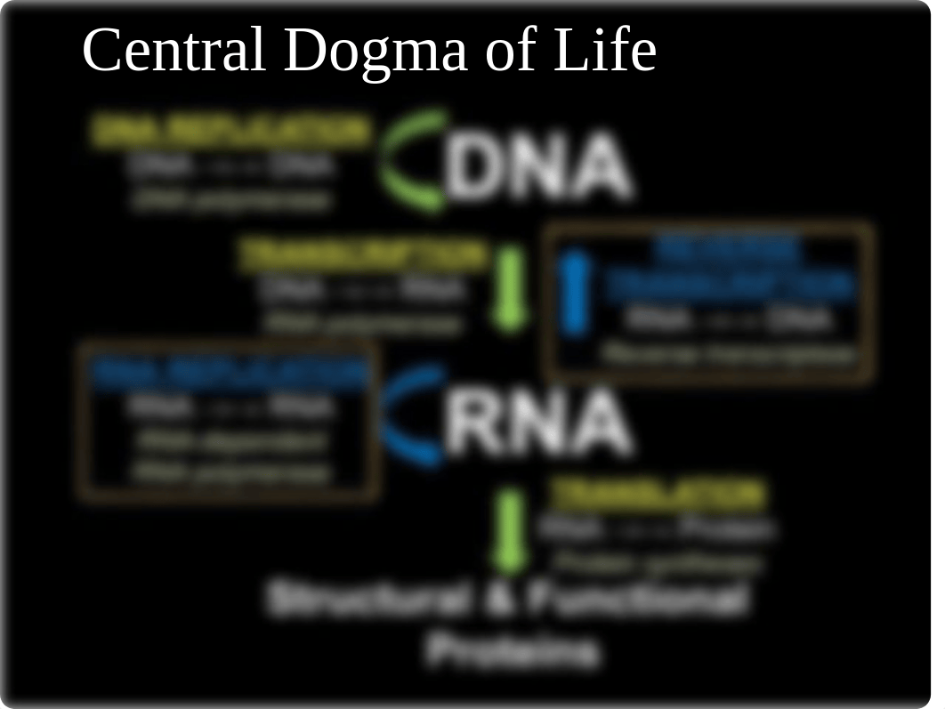 Gene physiology, 2019 REVISED(1).pptx_d1q6te4rrgh_page3