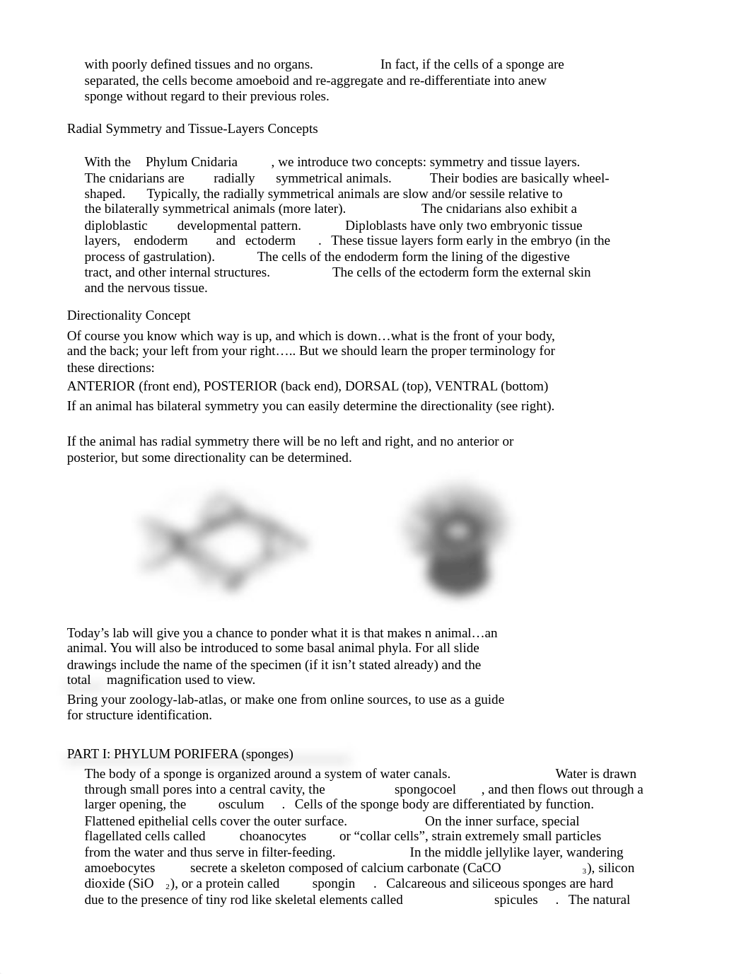 Lab 4 Introduction to Animals.docx_d1qdvrrrb3o_page2