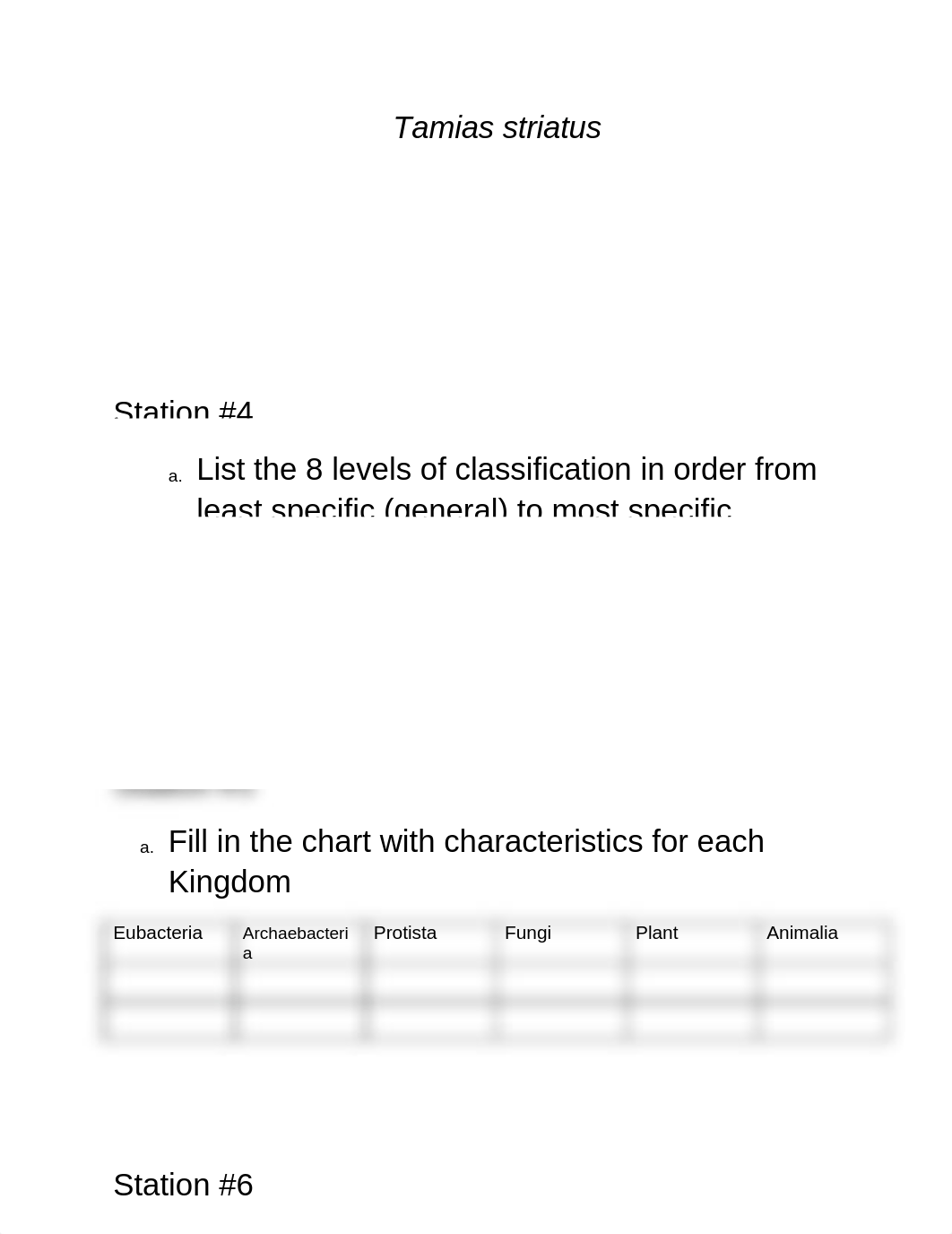 Classification Station Lab_d1qfgqseosx_page2