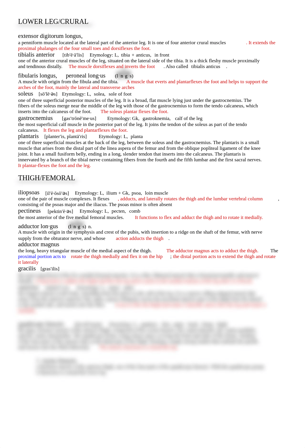 Muscle Definitions and Descriptions.doc_d1qktccgxrr_page1