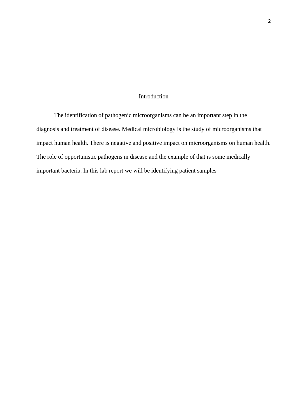 medicalmicrolab.docx_d1qnzw4ivvo_page2