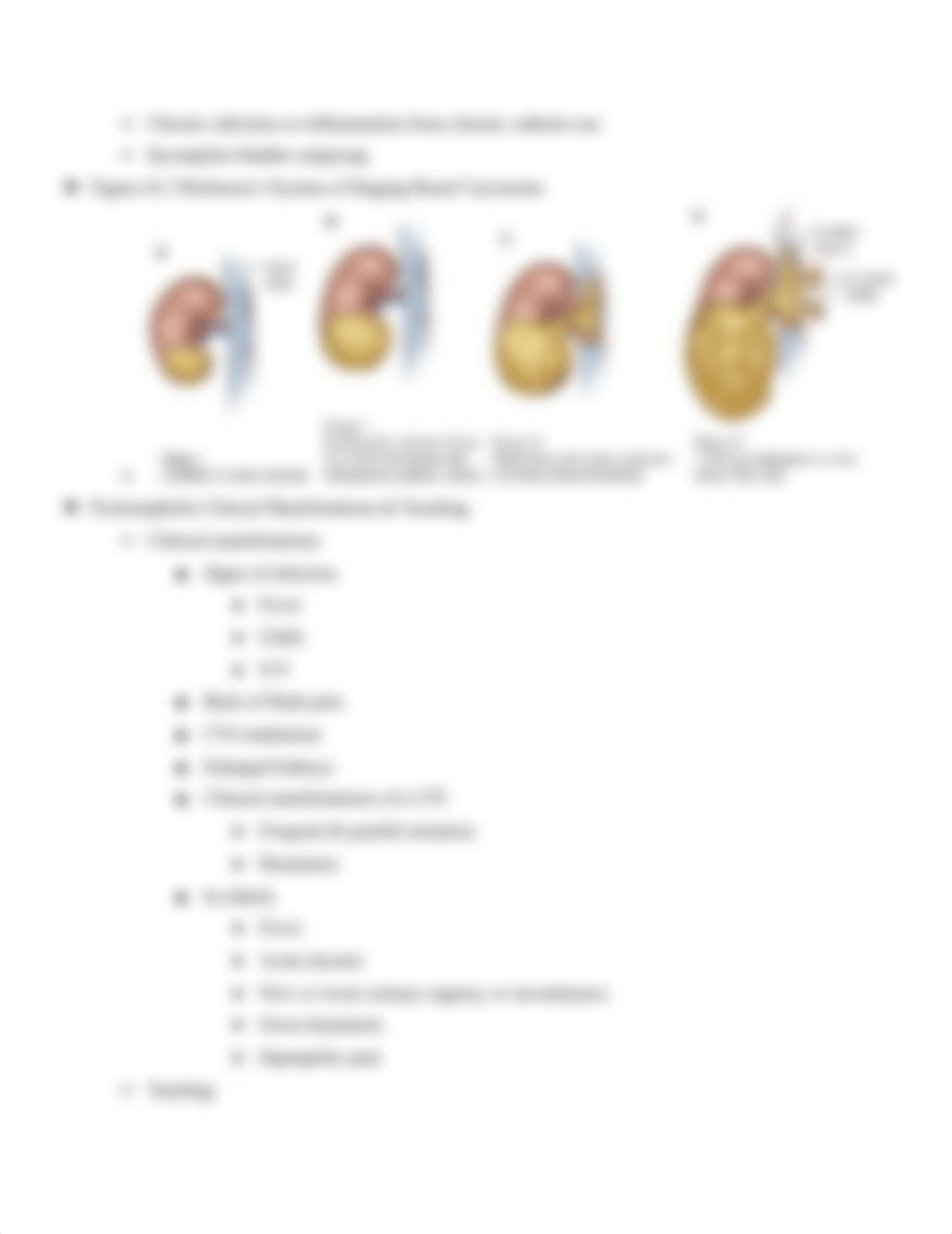 Copy of Renal Study Guide.pdf_d1qxoxyo4hn_page3