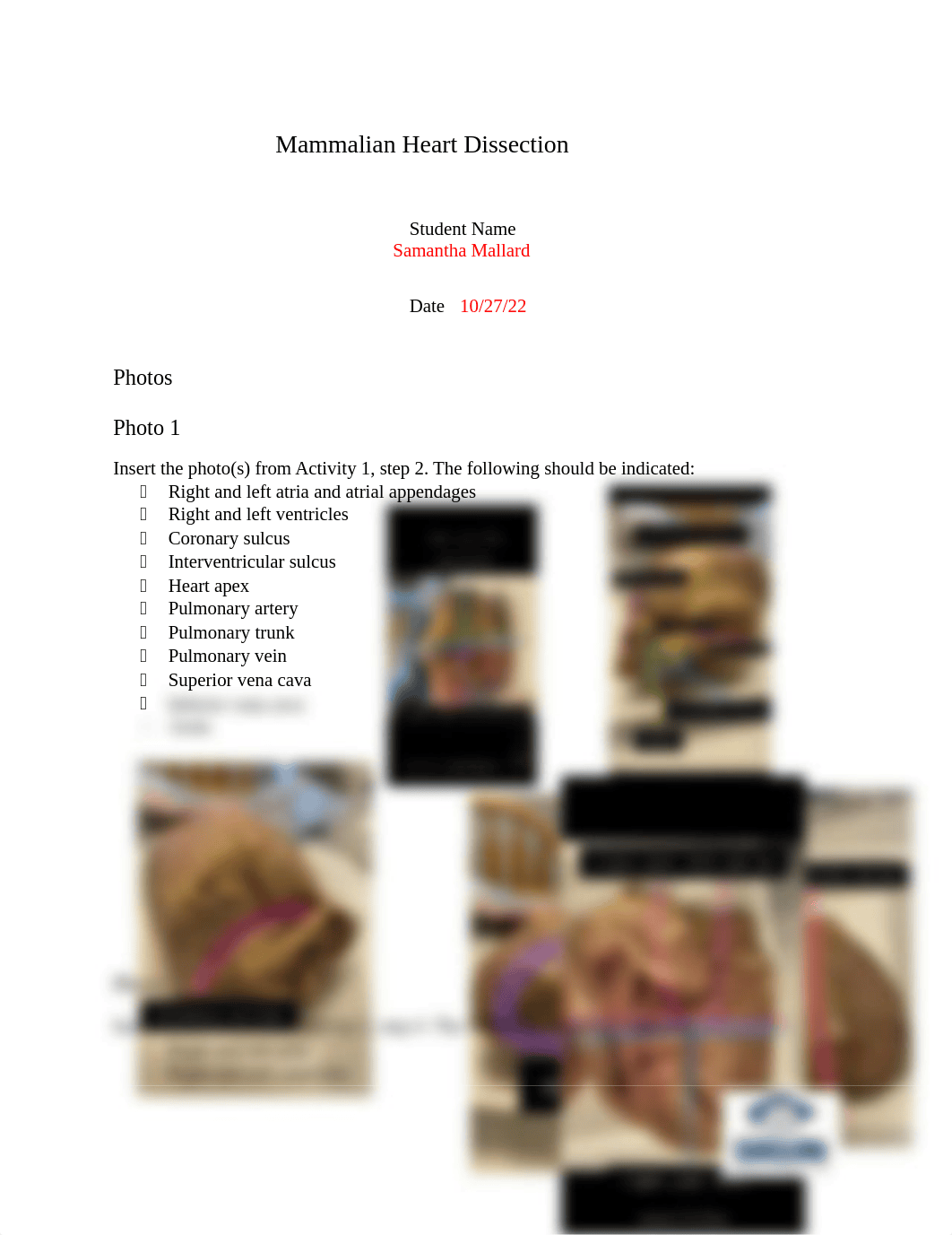 Lab 011 Mammalian Heart Dissection Post Lab (1).docx_d1rl0ewmian_page1