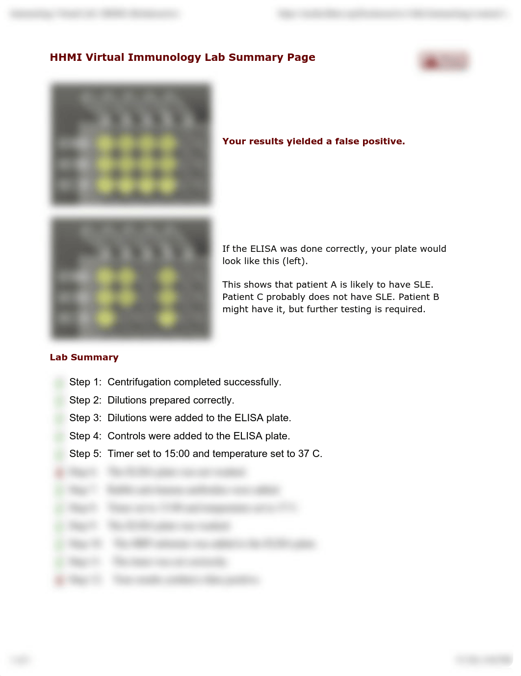 Immunology Virtual Lab .pdf_d1rpu58ioqe_page1