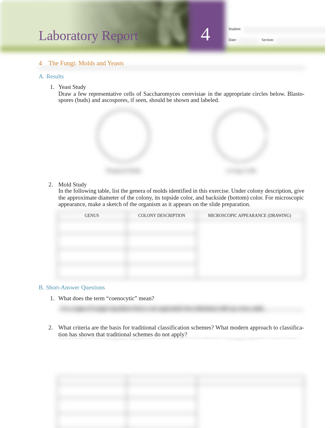 Exercise 04 Lab ReportMB.pdf_d1rsvd6vkg6_page1