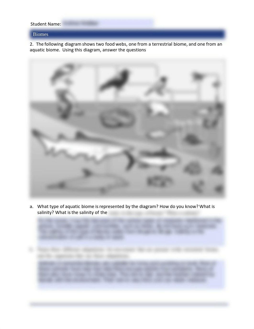 11.3_ComparingBiomesAndAnalyzingAdaptations_worksheet.pdf_d1sd5s41d71_page2