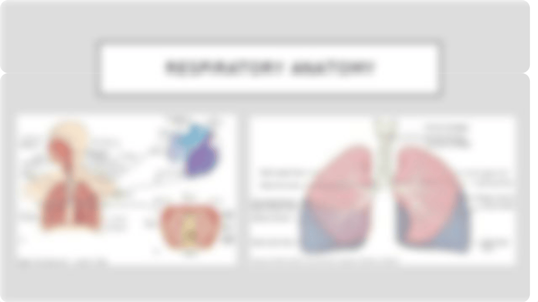 Respiratory 1.pptx_d1sdwufzf3h_page3