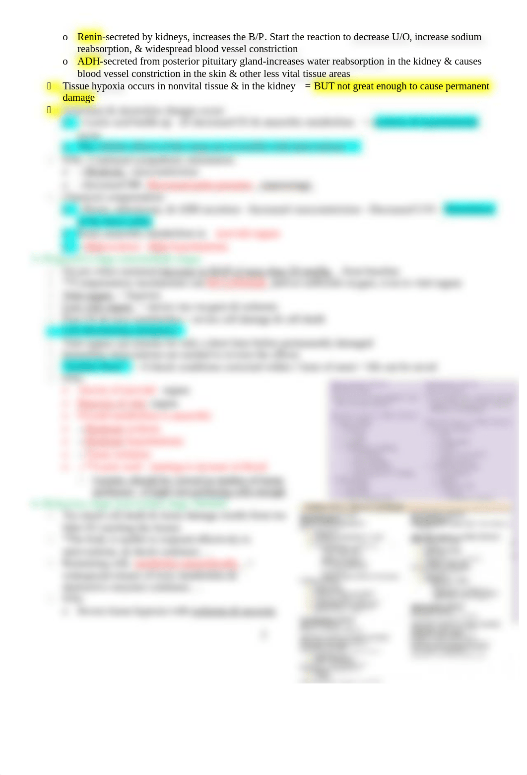 Unit 7--End -0f-Life, Shock, & Burns Review Sheet.doc_d1seksifr89_page2