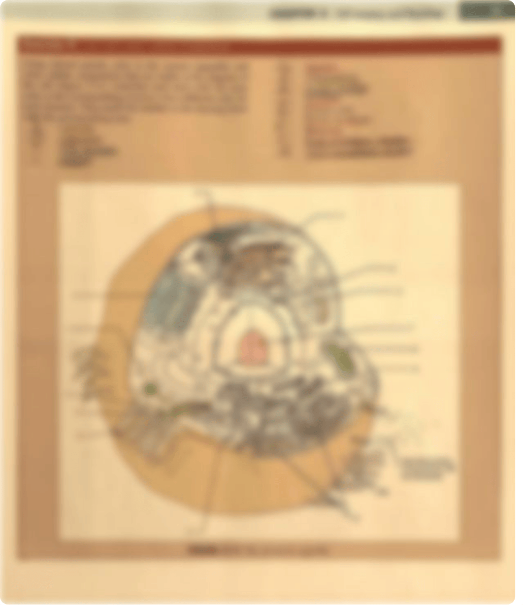 Lab manual assignment chapter 3 cell anatomy and physiology.pdf_d1sgqu4nox4_page3