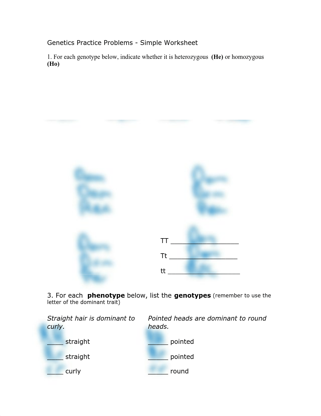 2779_65247_Genetics+Practice+Problems+WS_d1sqialaf2r_page1