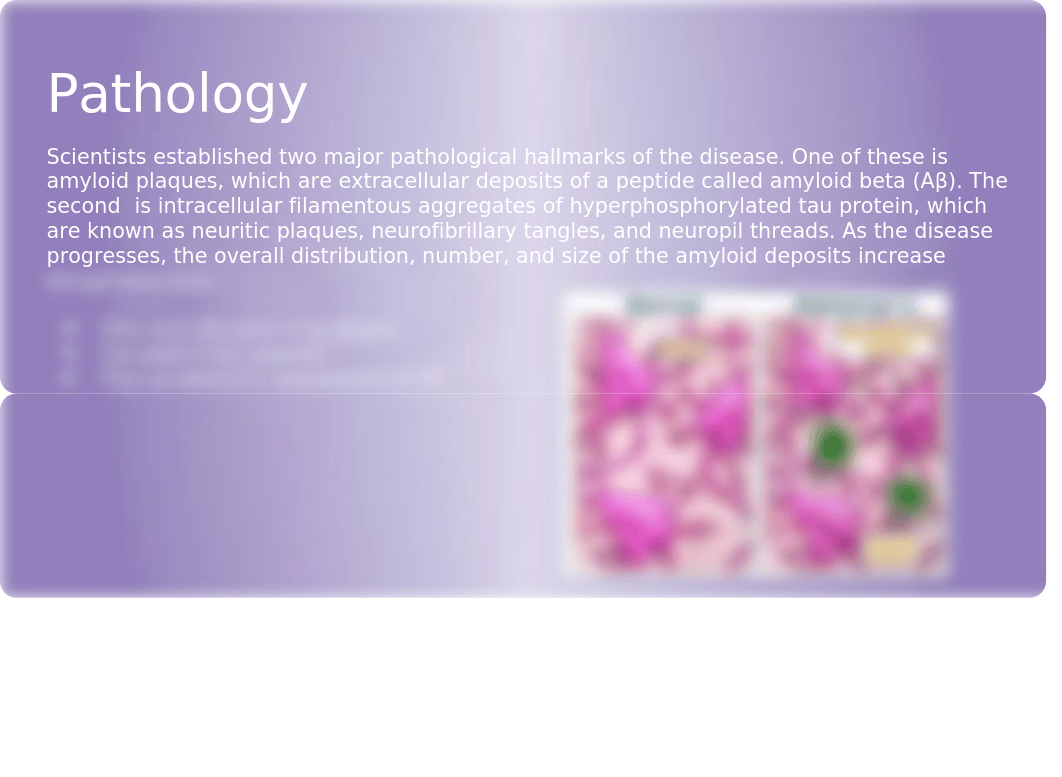 Alzheimer's Presentation Bio18.pptx_d1t1zvc4x4d_page5