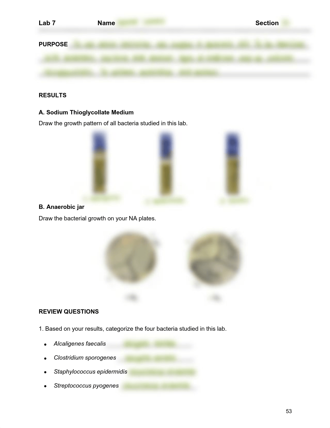 Lab 7 - JC.pdf_d1t416aet7l_page1