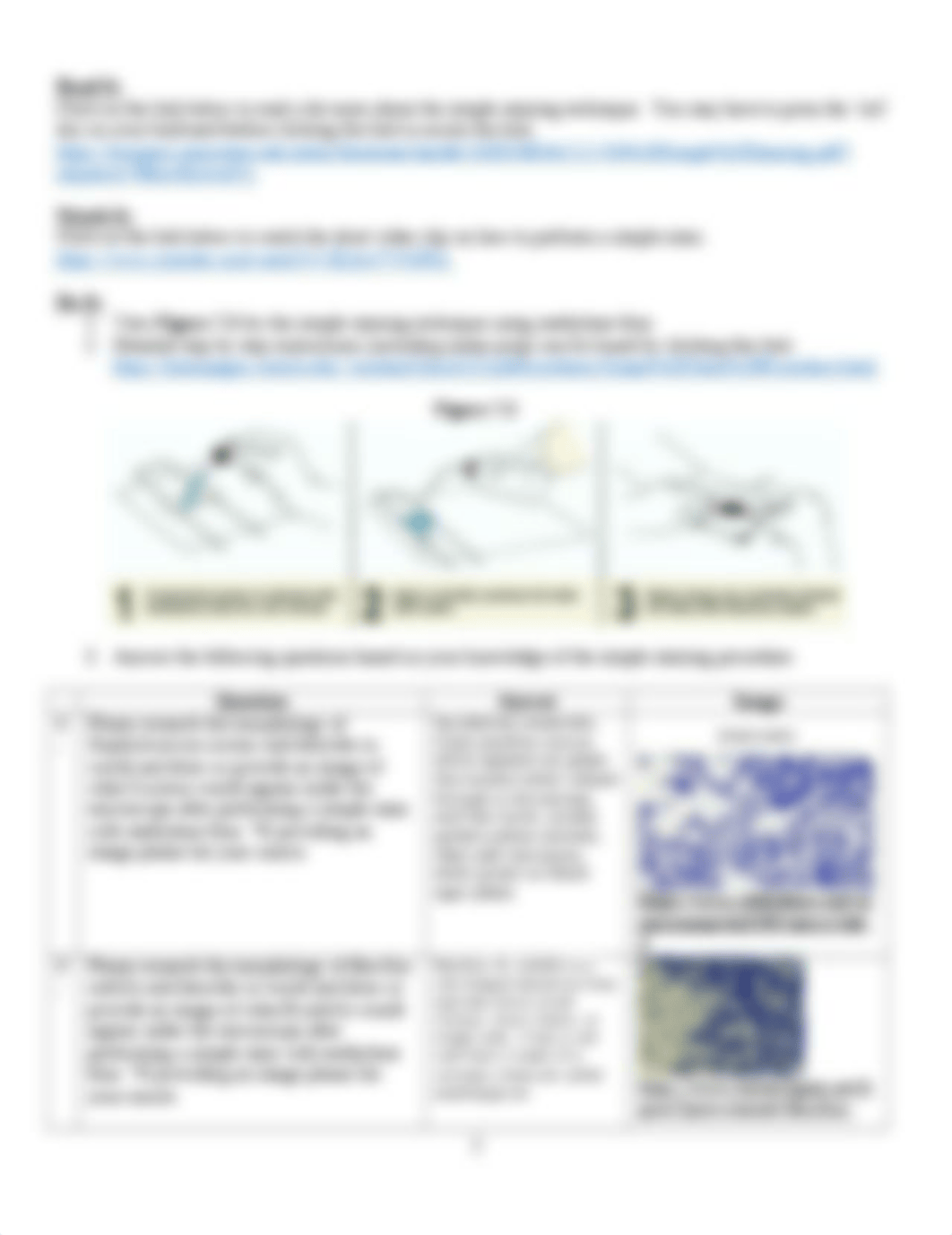 Lab 7 Simple Staining.docx_d1t4n7vwnwl_page2