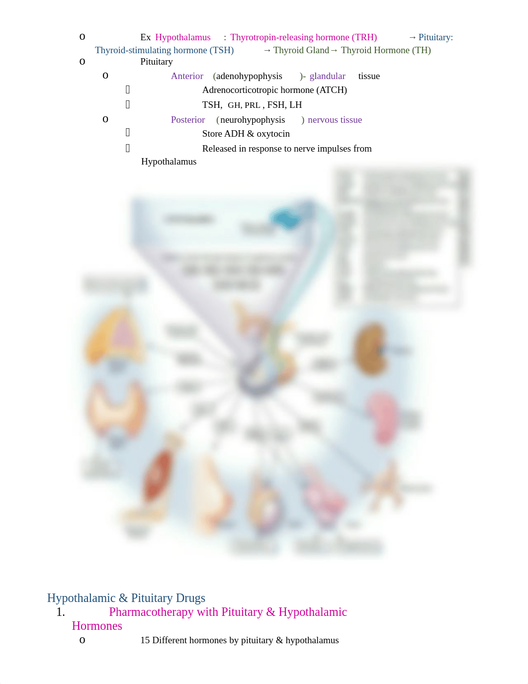 The Endocrine System_d1t5khgfxoy_page2