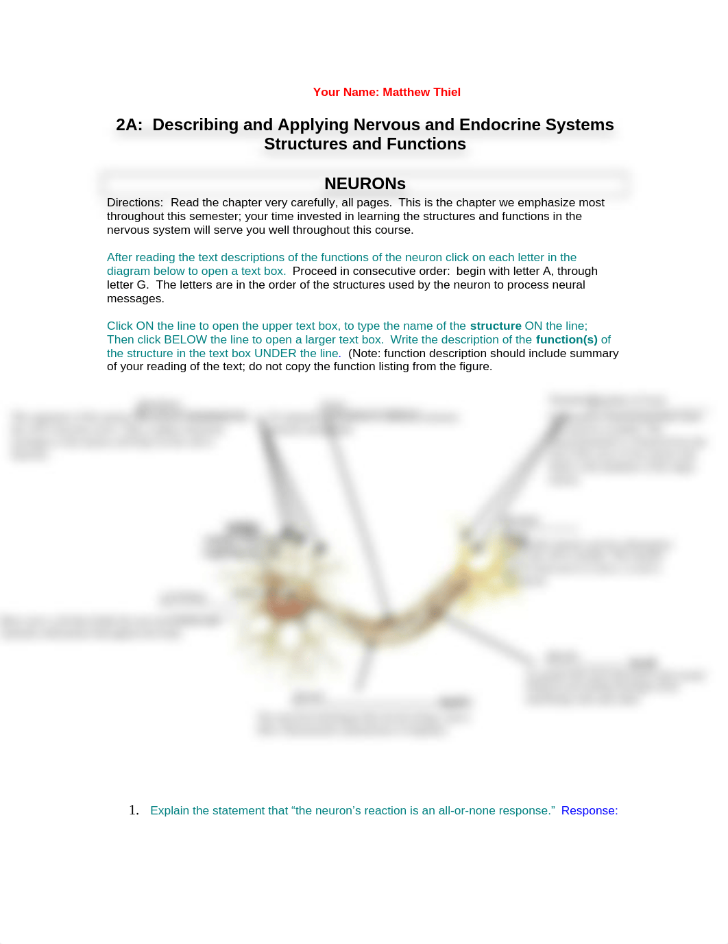 Neural Communication Pkt MTHIEL 004.doc_d1tcoq1hie0_page1