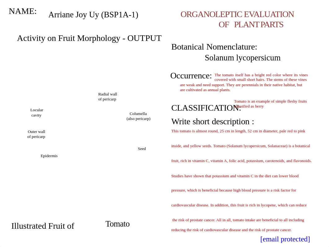 Uy, Arriane_BSP1A-1_ACTIVITY OUTPUT on FRUIT MORPHOLOGY.pdf_d1th7nfhboy_page1