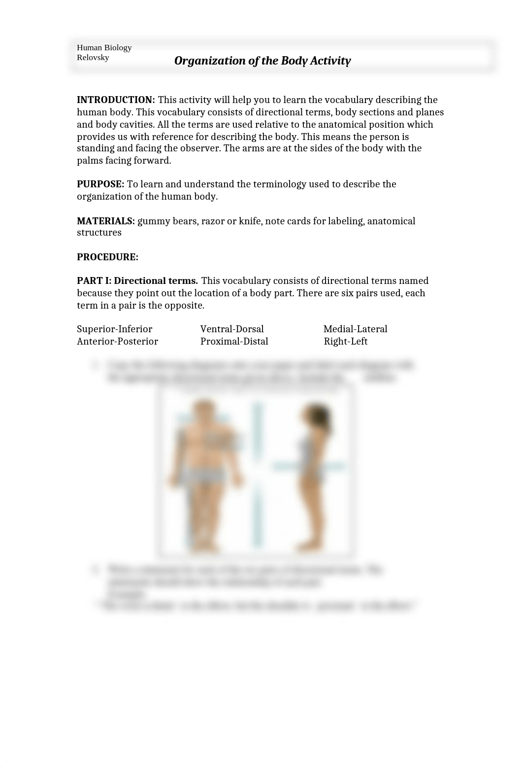 BODY ORGANIZATION LAB_d1tl4kjbou2_page1