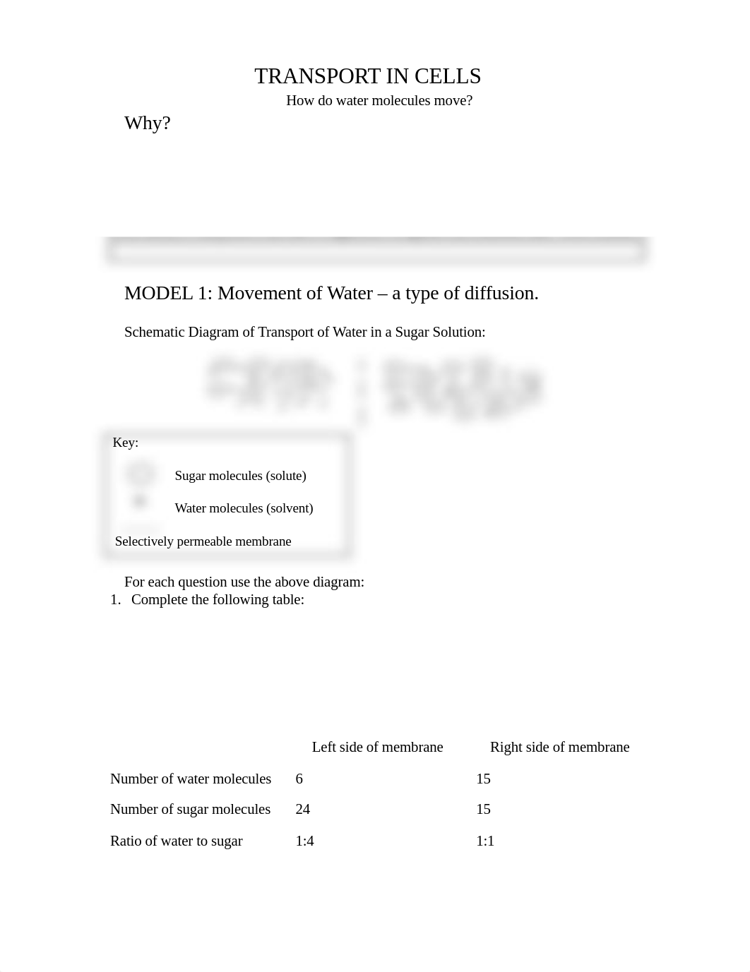 Honors_Bio_Transport_WebQuest (1) (1).pdf_d1u66ztg2ov_page1