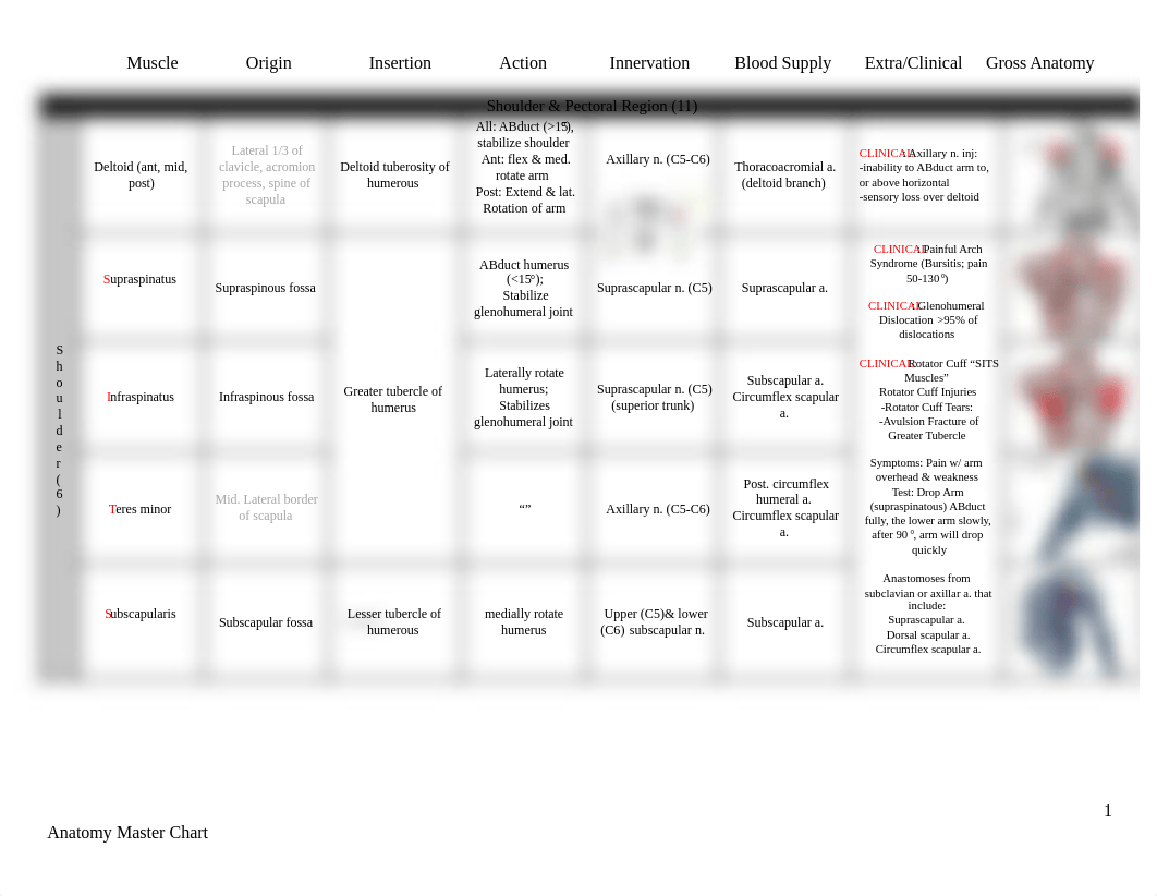 Master_Anatomy_Chart_013118.docx.docx.pdf_d1u8xfhp9eg_page1