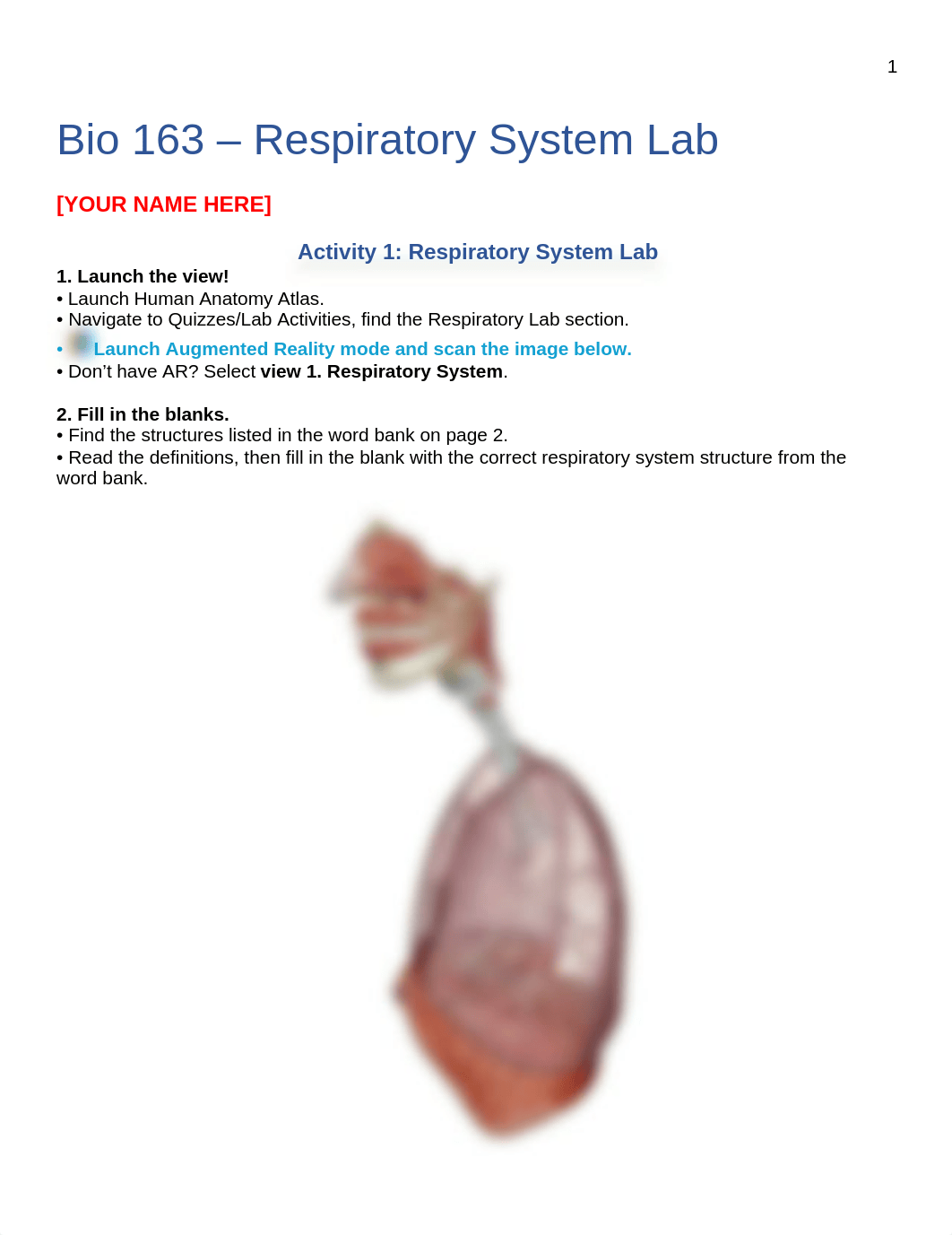 Lab 9 - Respiratory System (online).docx_d1u957tcrsy_page1