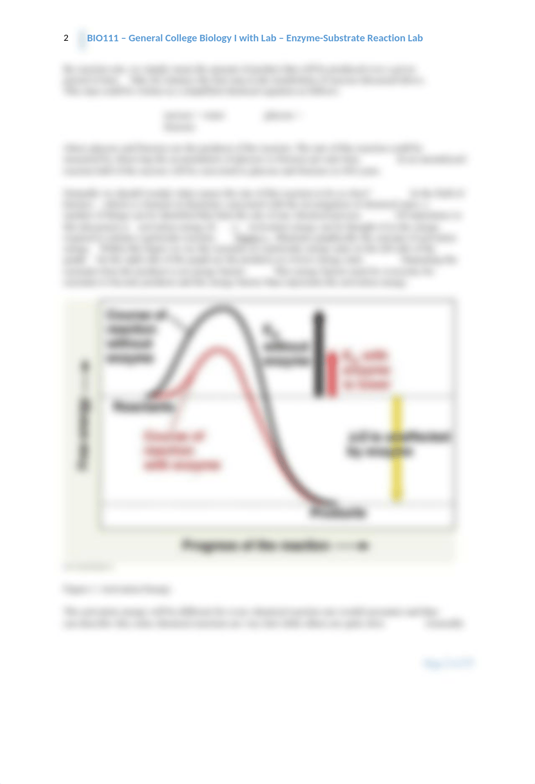 Davis_Lab-6-Enzymes_d1u9b6y2w3c_page2