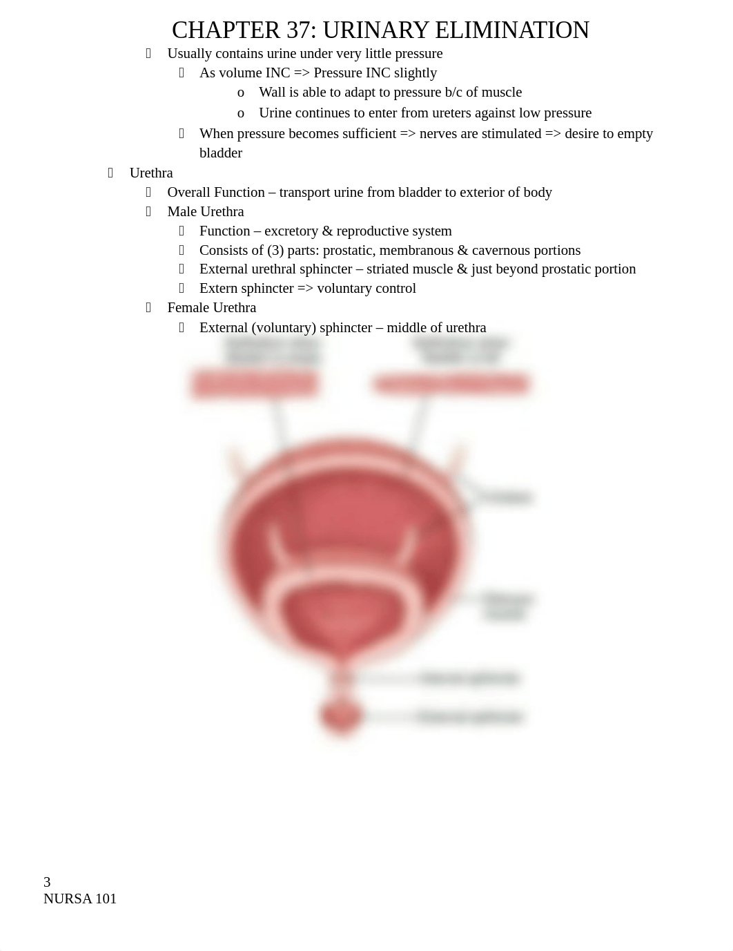 Ch. 37 Urinary Elimination.docx_d1u9v5xqjbh_page3