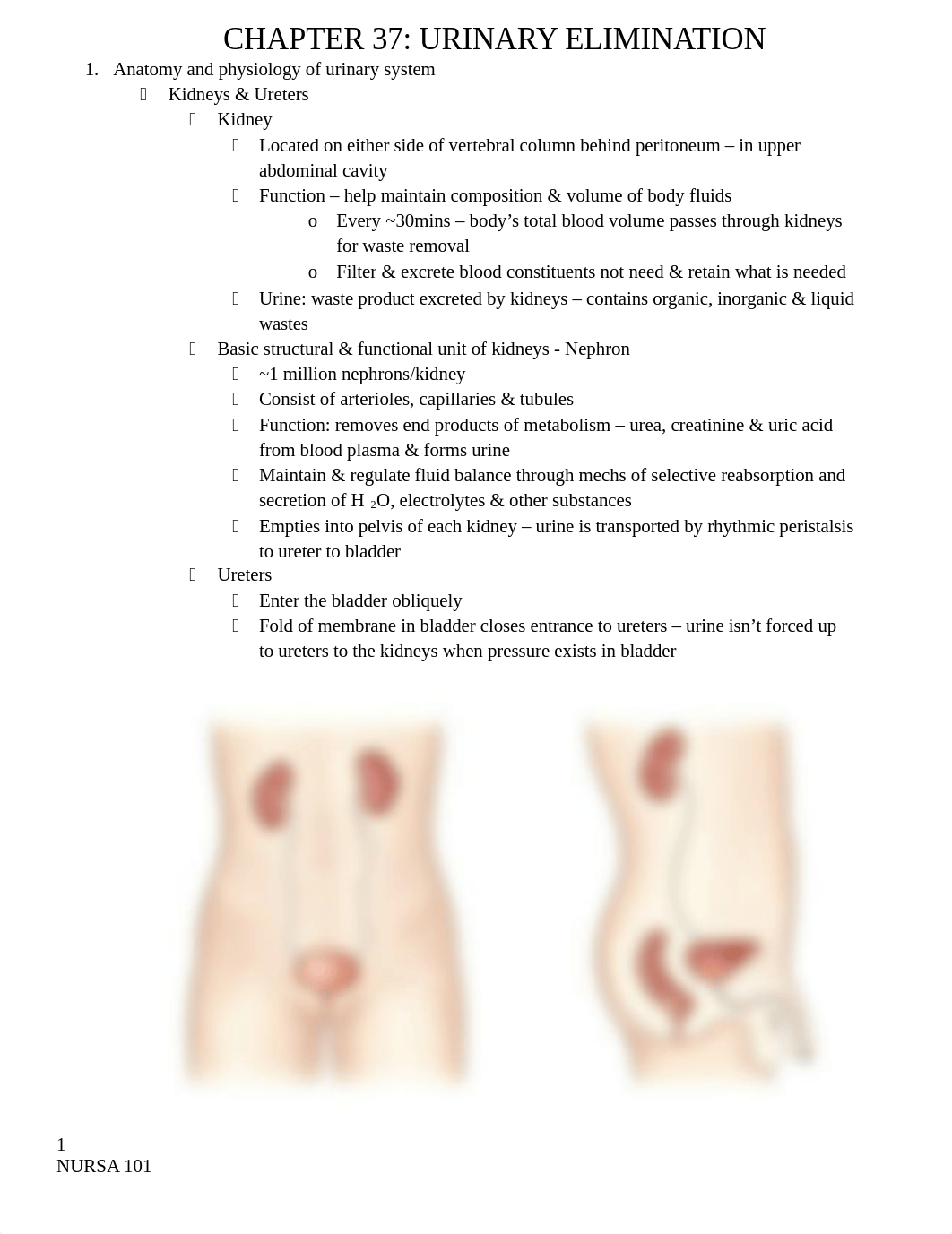 Ch. 37 Urinary Elimination.docx_d1u9v5xqjbh_page1