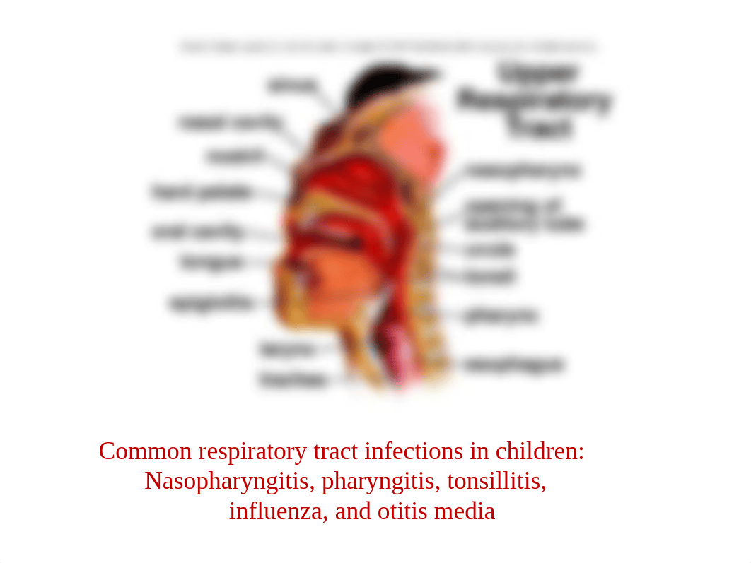 Student Copy.The_Child_With_A_Respiratory_Alteration_d1ufbijfp3v_page5