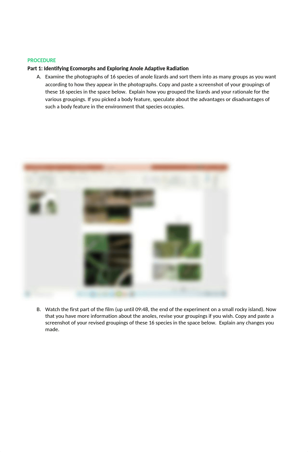 Lizard DNA Phylogeny Student Handout.docx_d1ug0ehb11r_page2