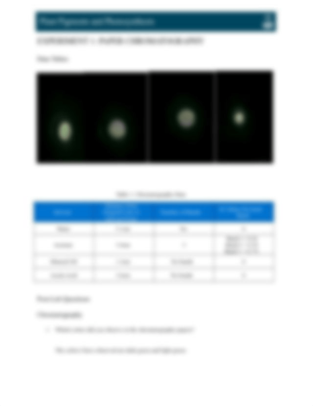 model 3 lab Photosynthesis  ready to sent.docx_d1ui30u1rwk_page3