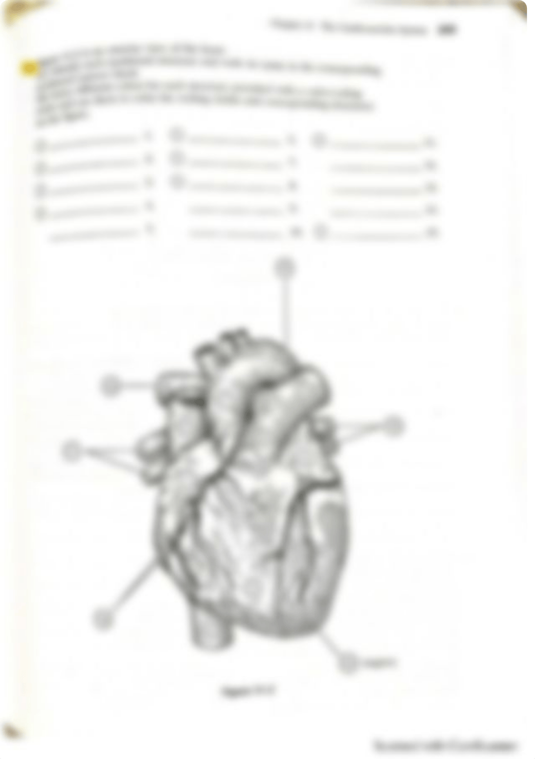 Heart Lab.pdf_d1ujtll5k7s_page2