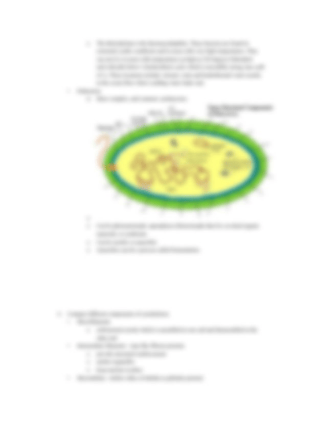 AP Bio Organelle Review_d1unrogkxvb_page4