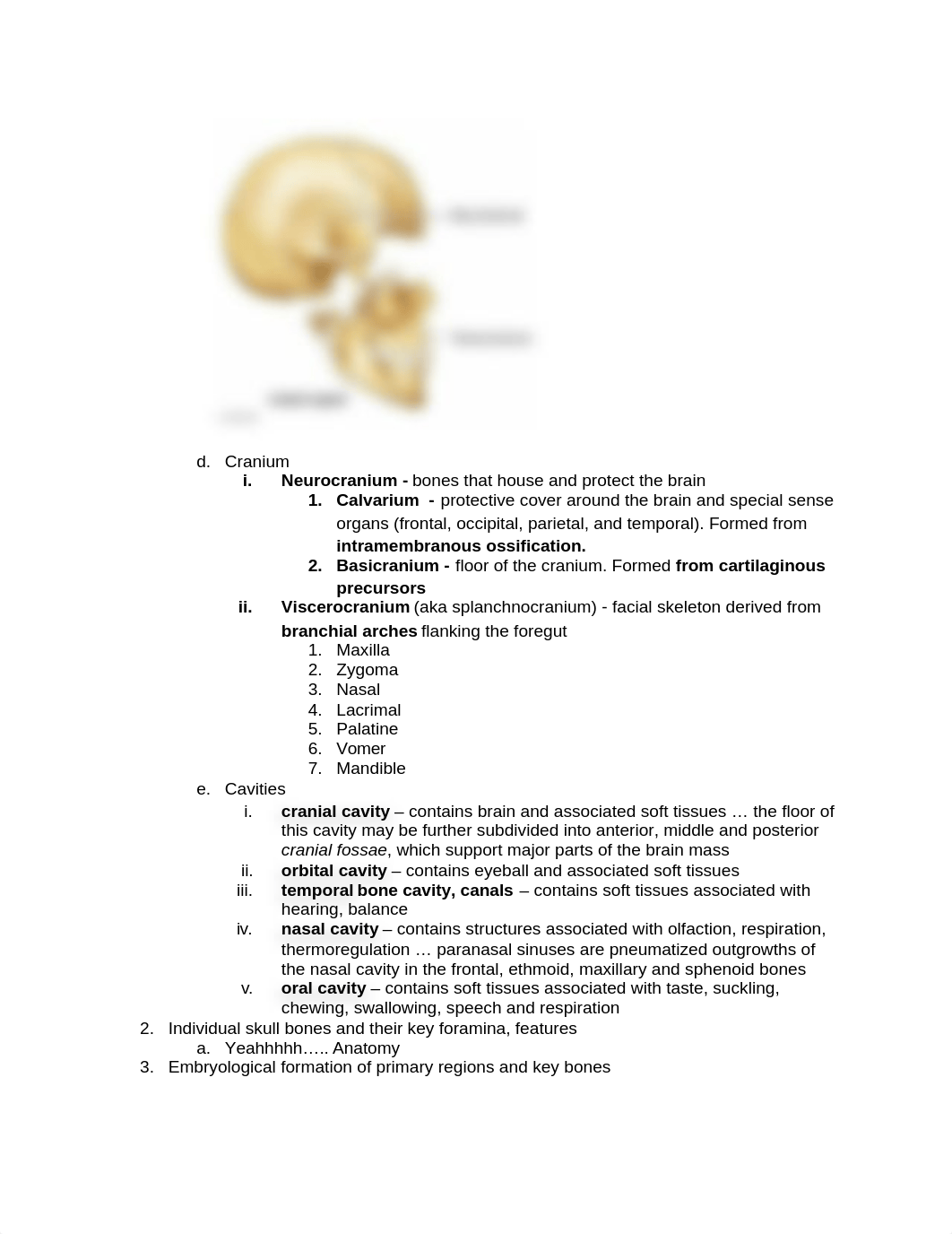 Head & Neck SM LOs.docx_d1v0guyjvga_page2