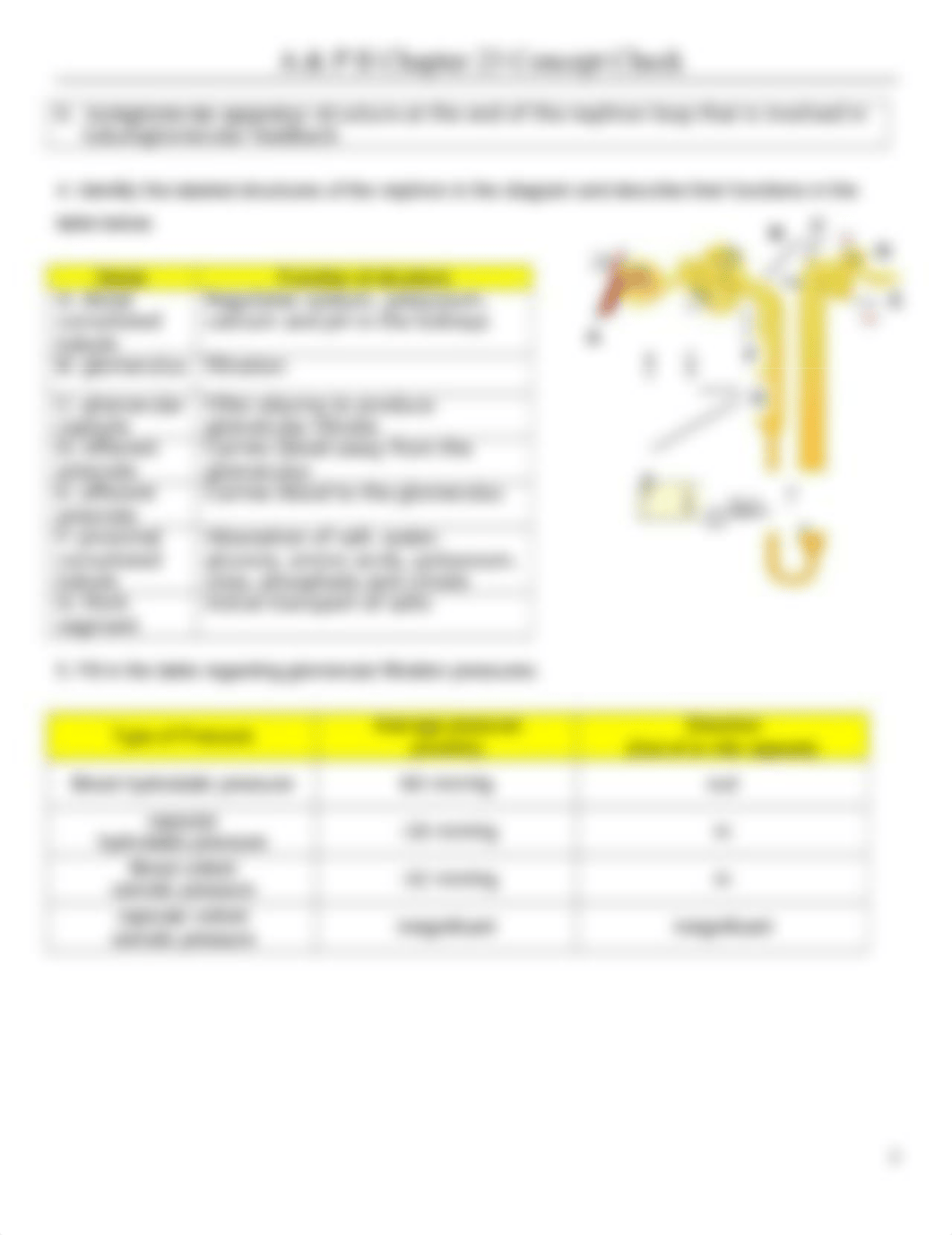 Chapter 23 Concept Check(1)(1).docx_d1v2ers14zm_page2