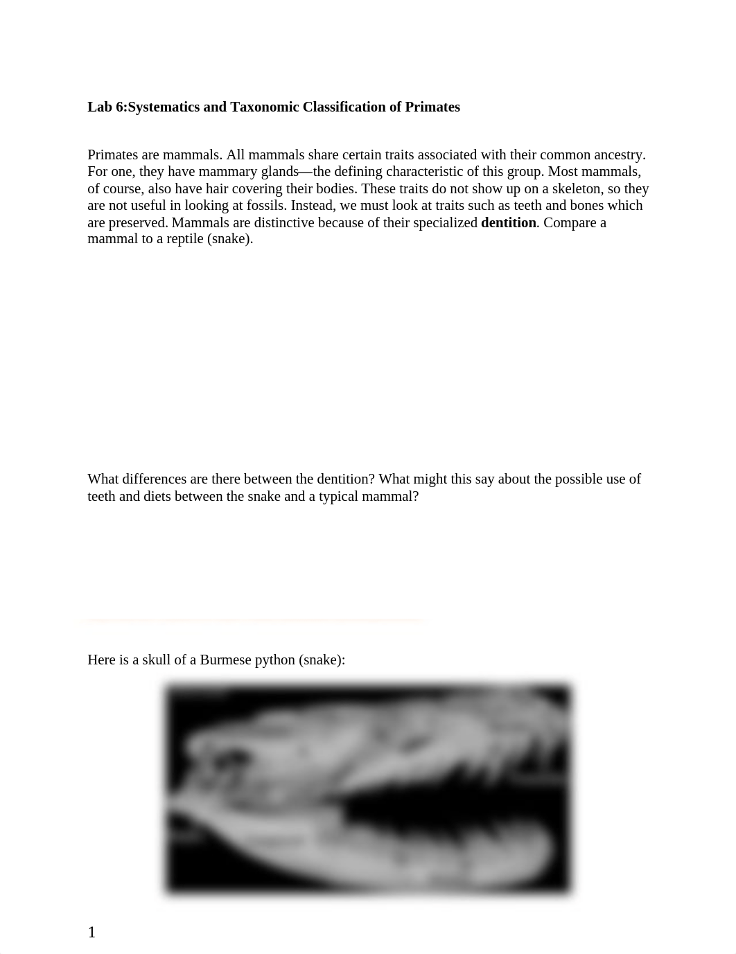 Xi Lin Lab 6.docx_d1v95vajtdb_page1