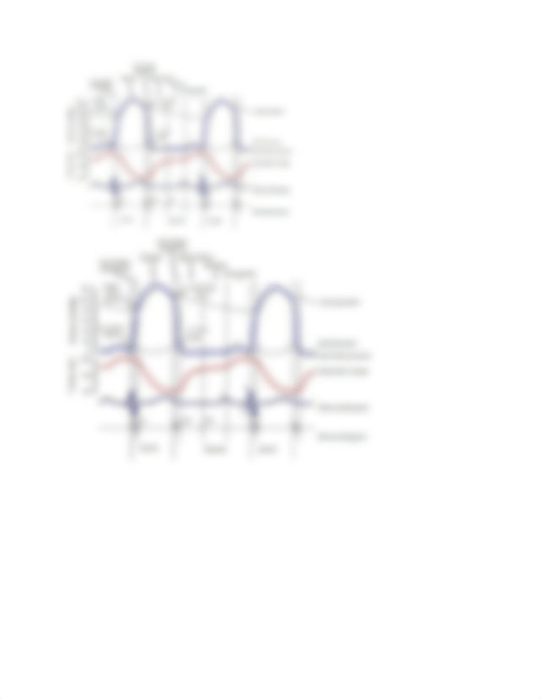 Med Surg 3 Chapter 26 Circulatory Disorders Dysrhythmias I.docx_d1va03d6eek_page2