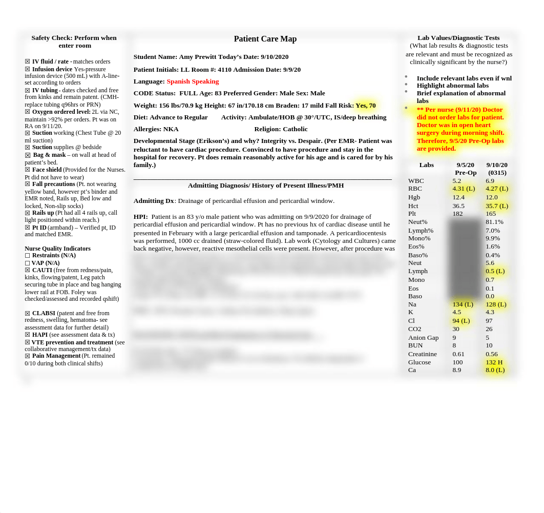 NS 40 Care Map  LL 9-10-20.docx_d1vchpuxye3_page1