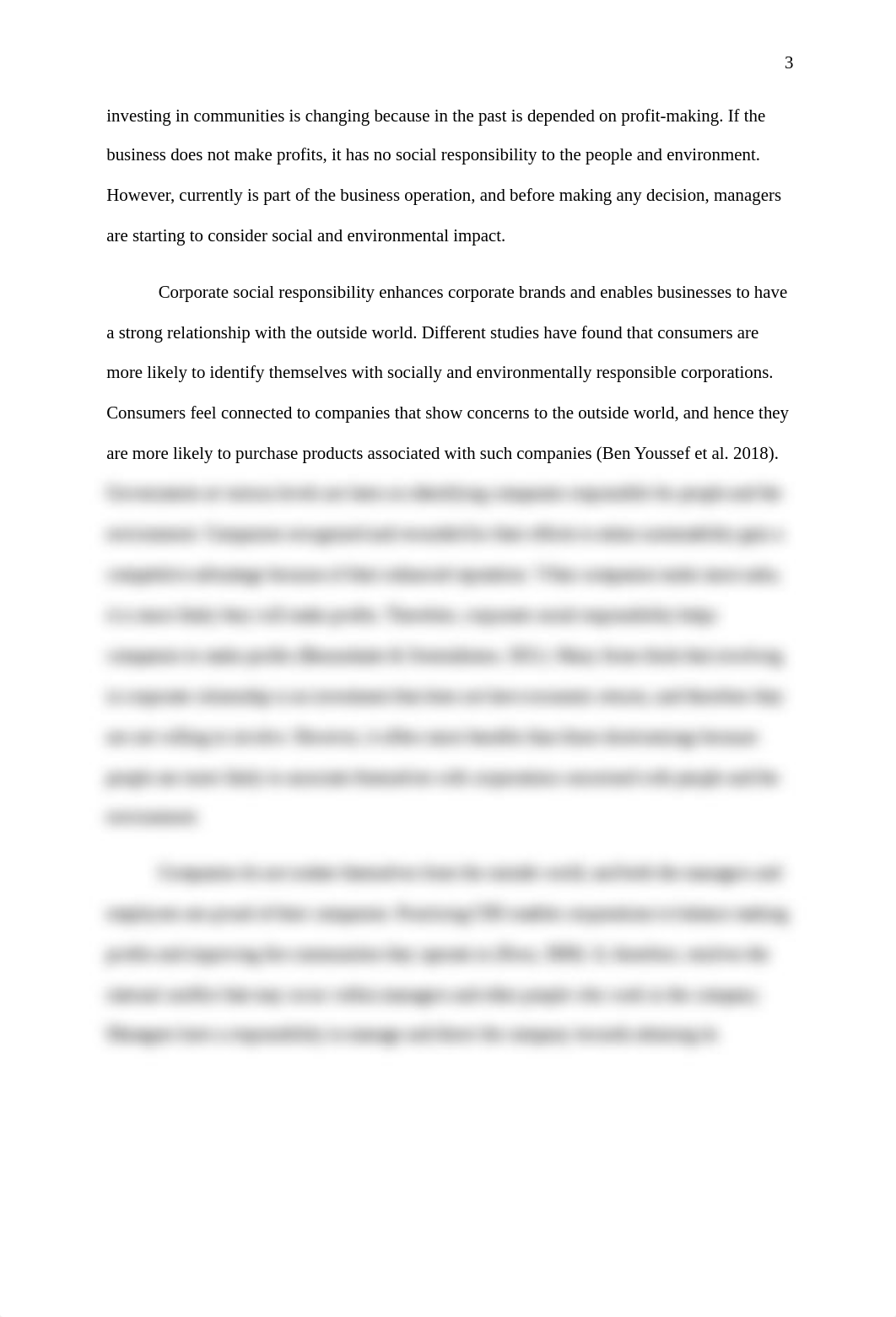 Corporate Social Responsibility.final copy.docx_d1vho5lb84r_page3