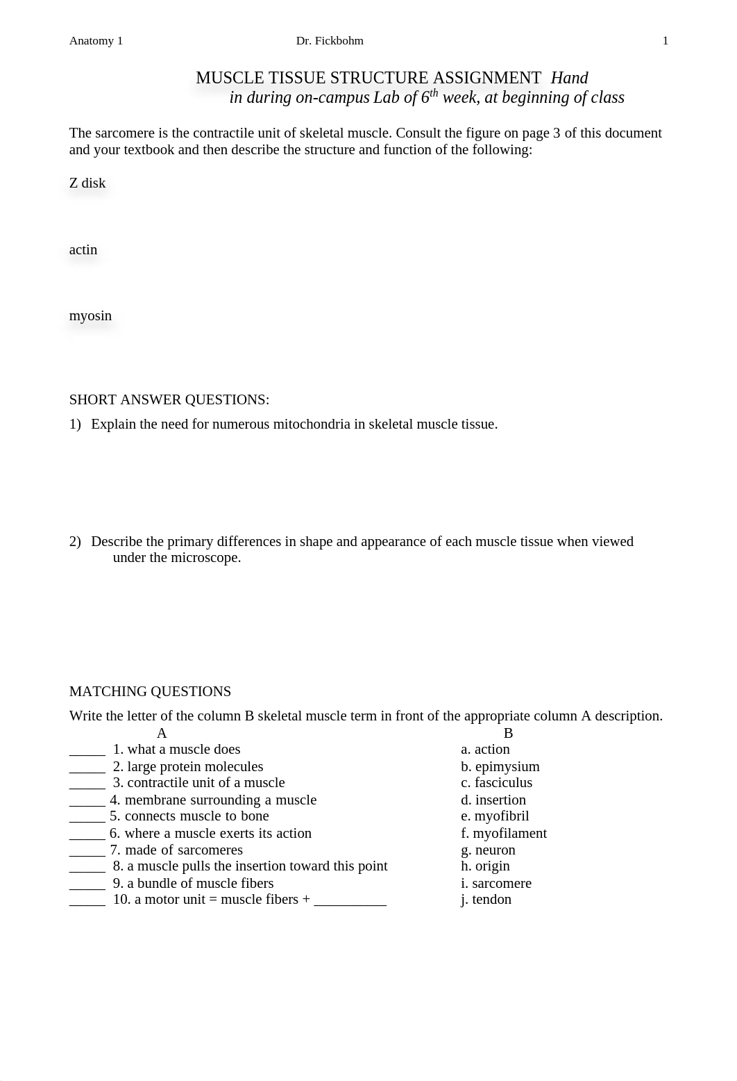 Muscle Lab_d1w33jv7bk5_page1