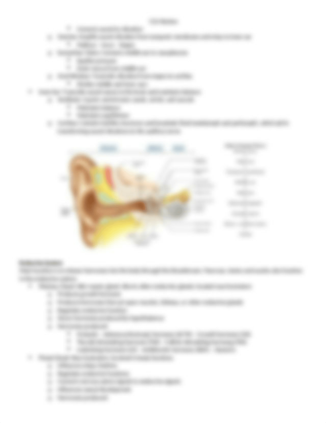 Ch16Notes.docx_d1w55vl7q5p_page3