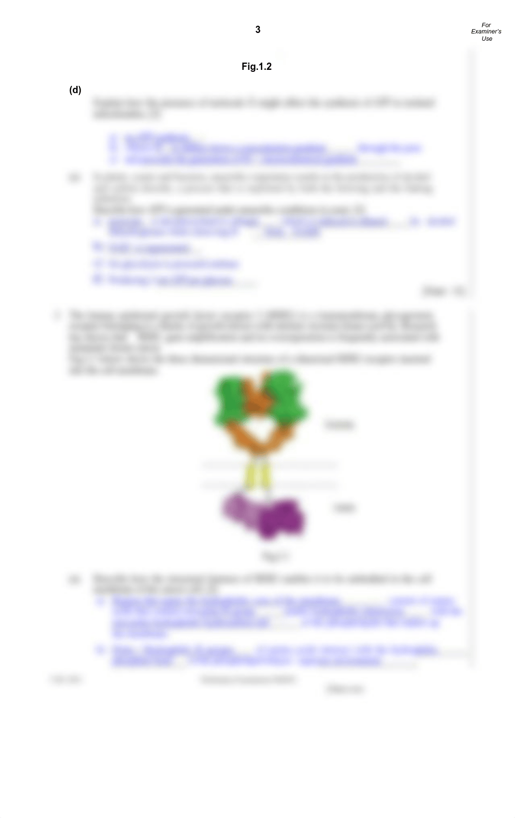 273035777-2012-RI-H2-Bio-P2-with-answers-docx.pdf_d1w7w2smw7i_page3