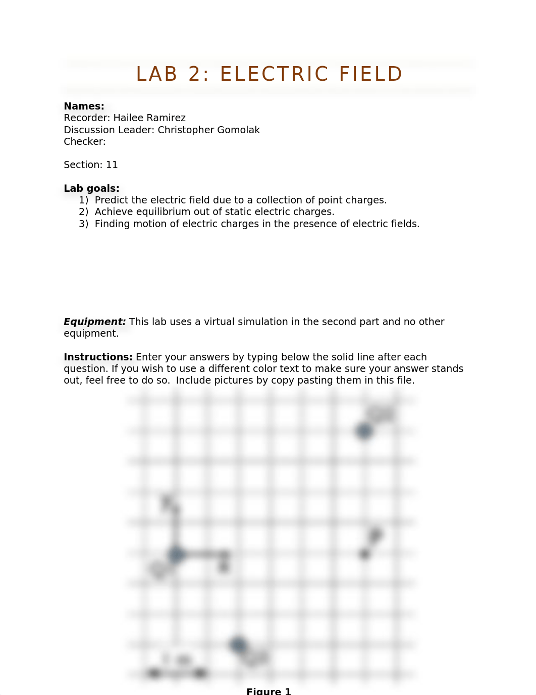 Lab2_Electric Fields.docx_d1wbiejpmgo_page1
