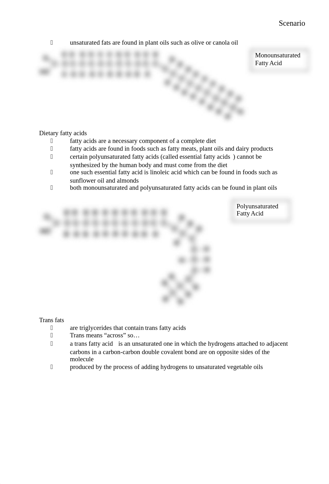 Fatty Acids.docx_d1wdo01ddkc_page2