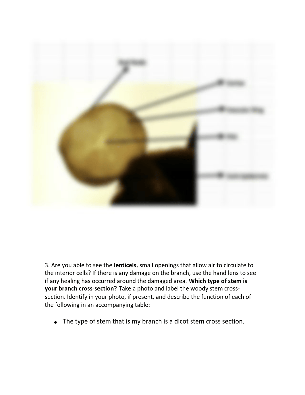 LAB REPORT 2_d1wltsqe9zq_page4