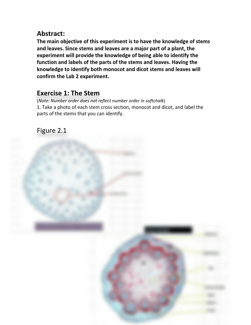 LAB REPORT 2_d1wltsqe9zq_page2