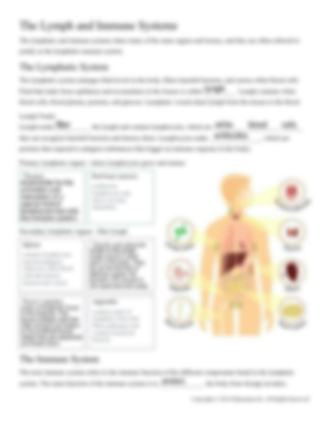 The Integumentary, Immune, Lymph, and Endocrine Systems.pdf_d1wsply18l4_page3