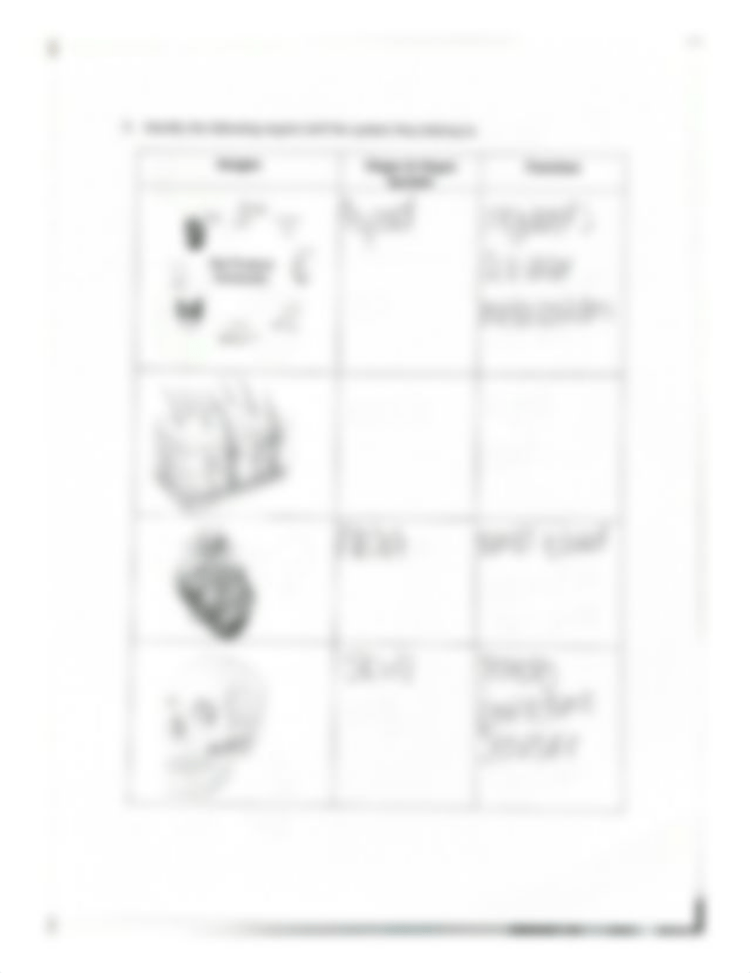 2. Identify the following structures on the above diagram of the fetal pig.pdf_d1wz825cpu8_page3