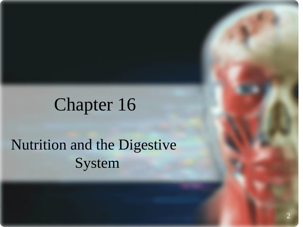 Rizzo - Chapter 16.ppt_d1x3twgh3xv_page2