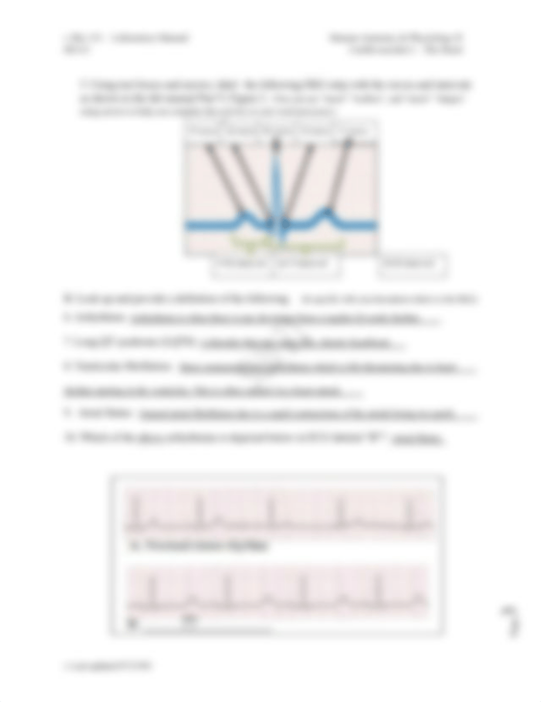 BIO 151 Lab #4 Cardiovascular I ff.pdf_d1x45tr55qy_page3