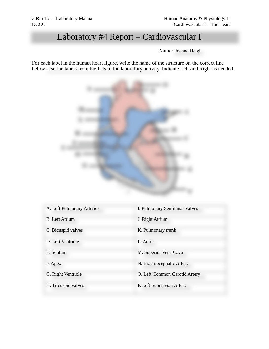 BIO 151 Lab #4 Cardiovascular I ff.pdf_d1x45tr55qy_page1